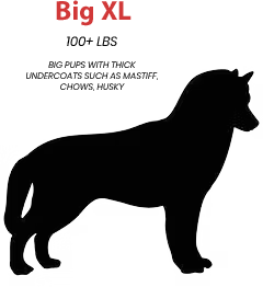 Big XL: 100 Plus Pounds